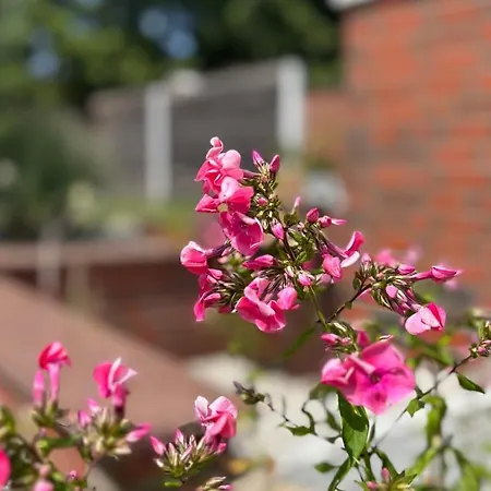 Appartement Wintertraum In - 70 Qm Wellness & Wohlfuehl-atmosphaere