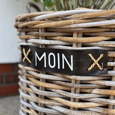 Wintertraum In - 70 Qm Wellness & Wohlfuehl-atmosphaere Appartement Damm