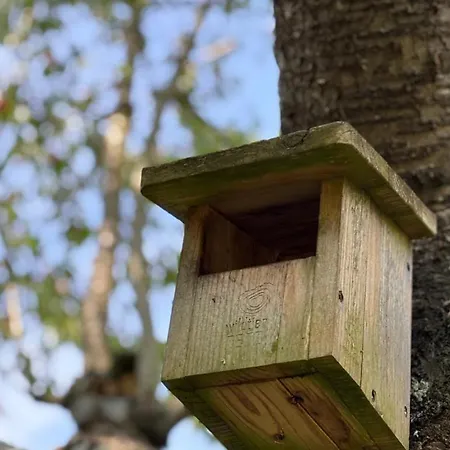 Wintertraum In - 70 Qm Wellness & Wohlfuehl-atmosphaere Apartmán