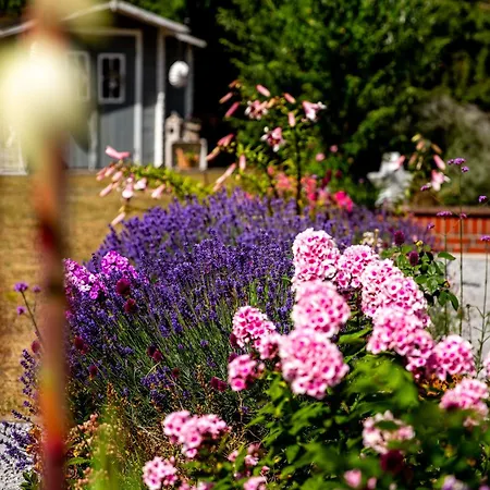 Wintertraum In - 70 Qm Wellness & Wohlfuehl-atmosphaere * Damm