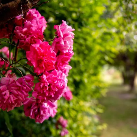 Wintertraum In - 70 Qm Wellness & Wohlfuehl-atmosphaere Apartmán