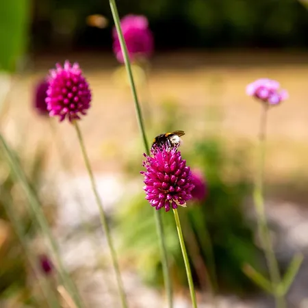 Wintertraum In - 70 Qm Wellness & Wohlfuehl-atmosphaere Appartement *