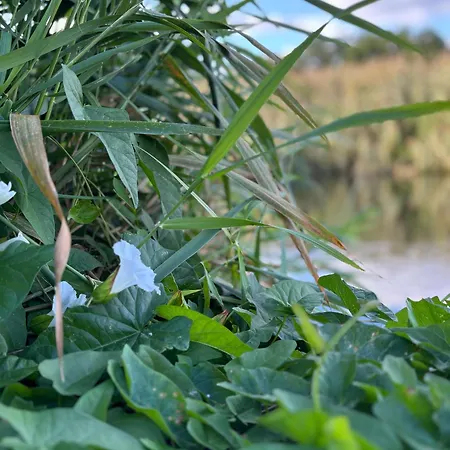 Wintertraum In - 70 Qm Wellness & Wohlfuehl-atmosphaere Apartmán