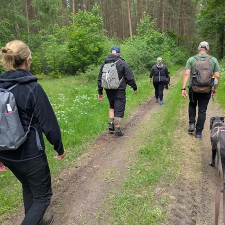 Wintertraum In - 70 Qm Wellness & Wohlfuehl-atmosphaere Damm