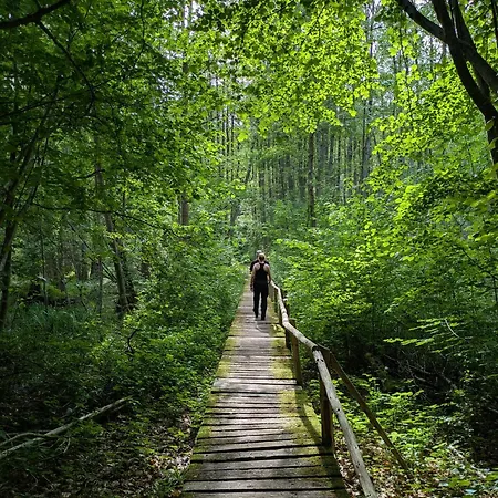 Wintertraum In - 70 Qm Wellness & Wohlfuehl-atmosphaere Damm