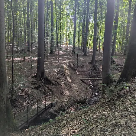 Wintertraum In - 70 Qm Wellness & Wohlfuehl-atmosphaere Apartmán