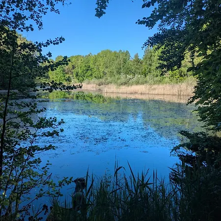 Apartmán Wintertraum In - 70 Qm Wellness & Wohlfuehl-atmosphaere *