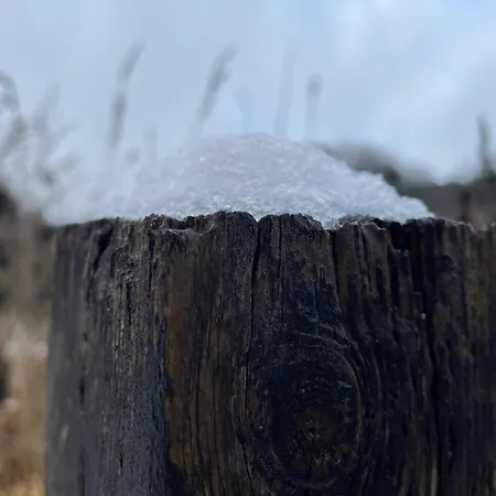 Wintertraum In - 70 Qm Wellness & Wohlfuehl-atmosphaere Damm