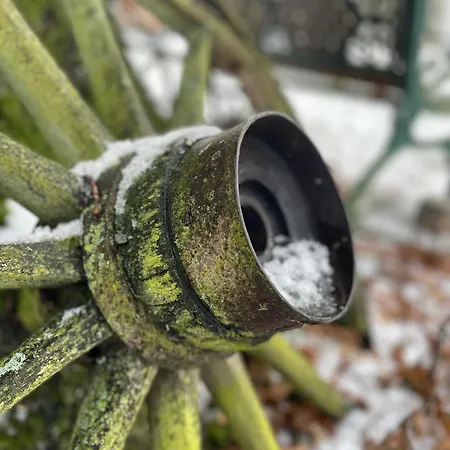 Appartement Wintertraum In - 70 Qm Wellness & Wohlfuehl-atmosphaere Damm