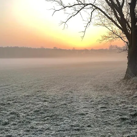 Wintertraum In - 70 Qm Wellness & Wohlfuehl-atmosphaere Damm