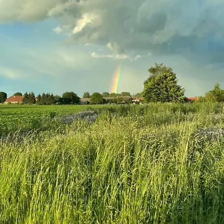 Wintertraum In - 70 Qm Wellness & Wohlfuehl-atmosphaere * Damm