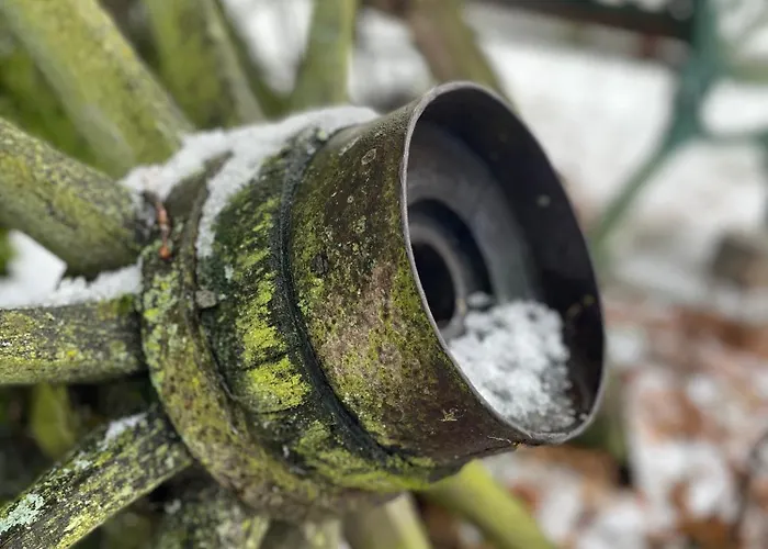 Lägenhet Wintertraum In - 70 Qm Wellness & Wohlfuehl-atmosphaere Damm