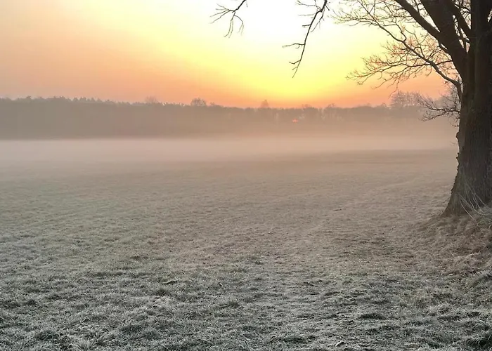 Wintertraum In - 70 Qm Wellness & Wohlfuehl-atmosphaere Damm
